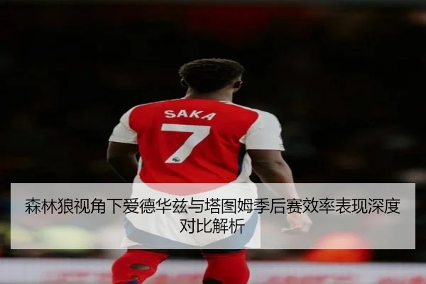 森林狼视角下爱德华兹与塔图姆季后赛效率表现深度对比解析